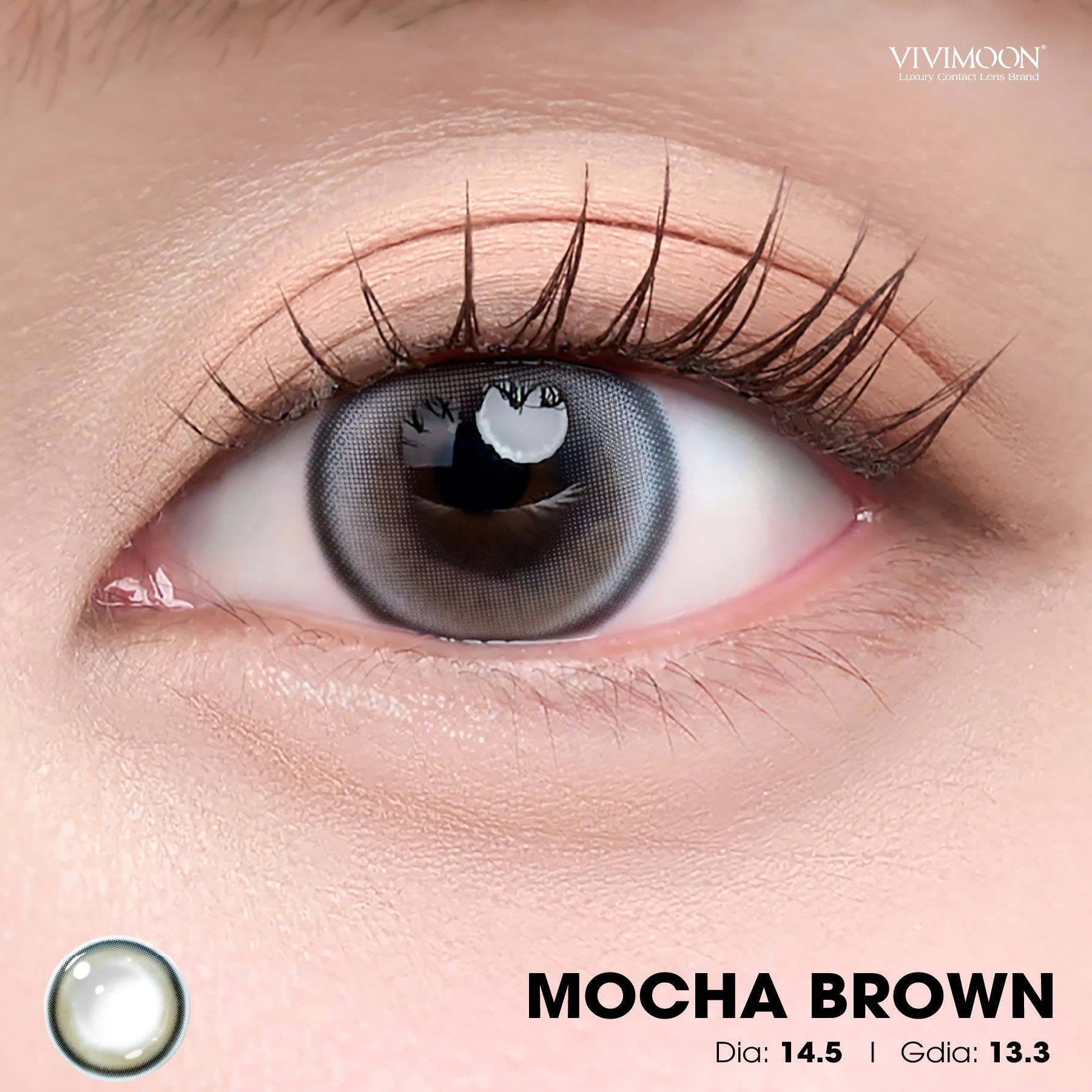 Mocha Brown - 1 day