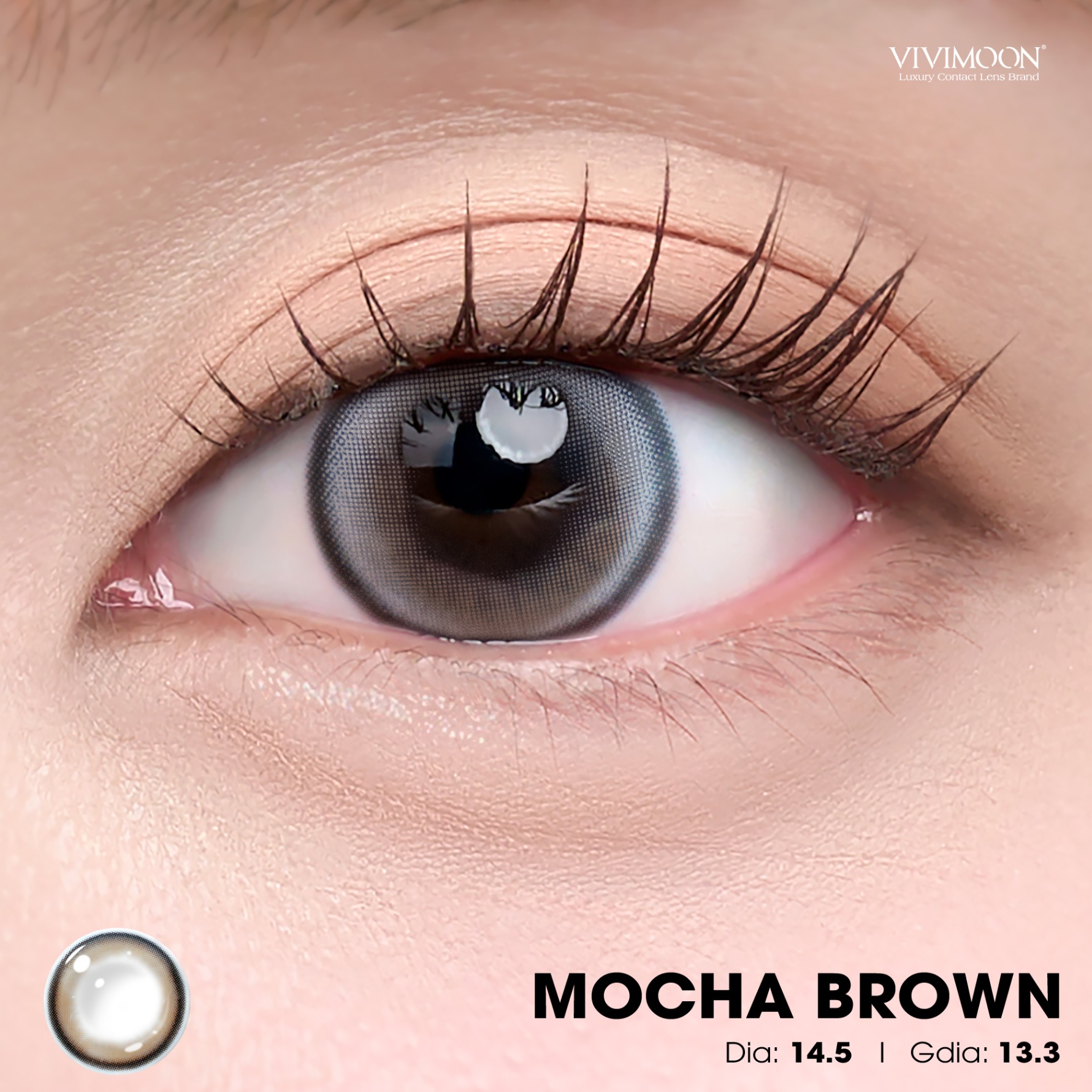 Mocha Brown - 1 Day