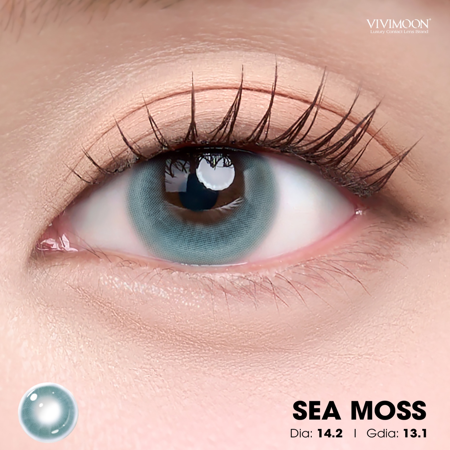 Sea Moss - 1 Day