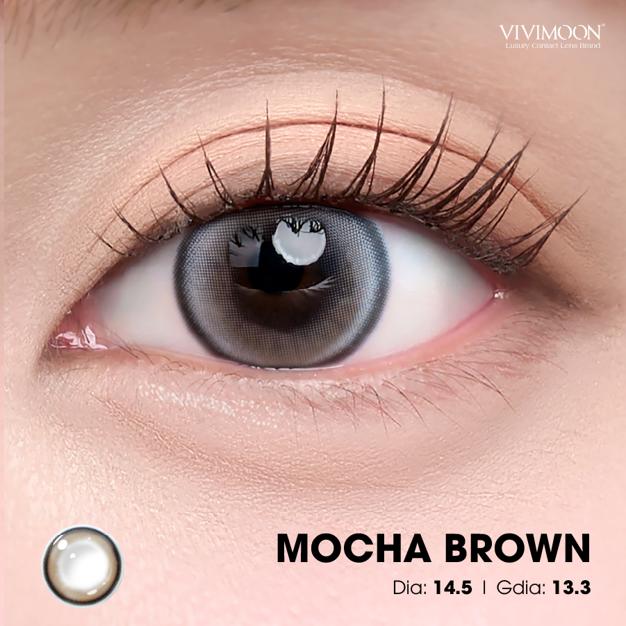 Mocha Brown - 6 months - LKA