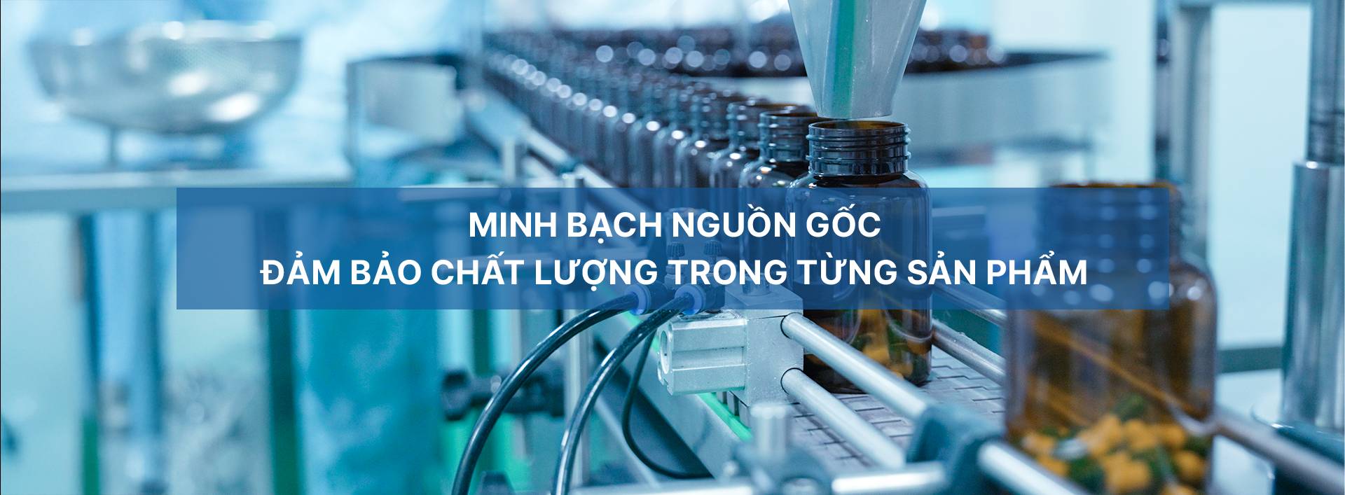Đảm bảo chất lượng 1