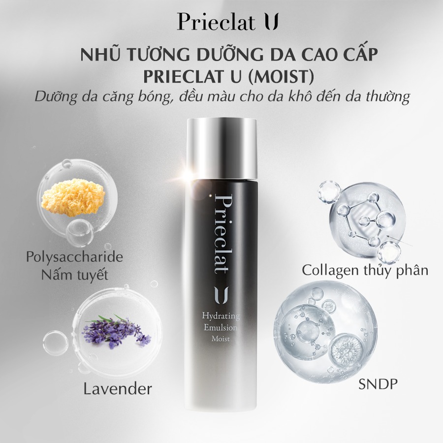 NHU-TUONG-DUONG-AM-DA-CAO-CAP-PRIECLAT-U (1).png