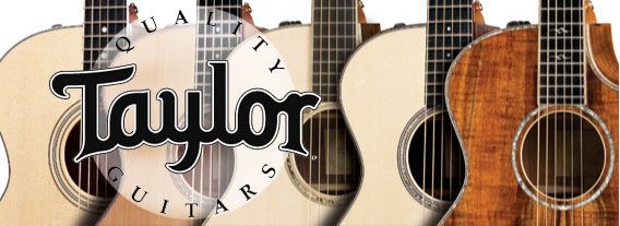 GUITAR TAYLOR VÀ NHỮNG ĐIỀU ĐẶC BIỆT