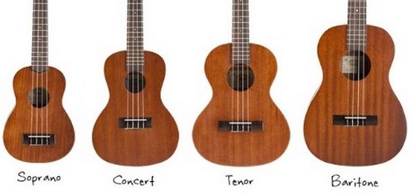 Tìm hiểu chi tiết về các kích cỡ của đàn Ukulele