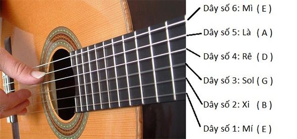 Hướng dẫn cách đọc dây đàn trên đàn Guitar 6 dây cho người mới học chơi