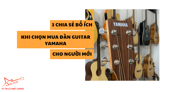 3 chia sẻ bổ ích khi chọn mua đàn guitar Yamaha cho người mới