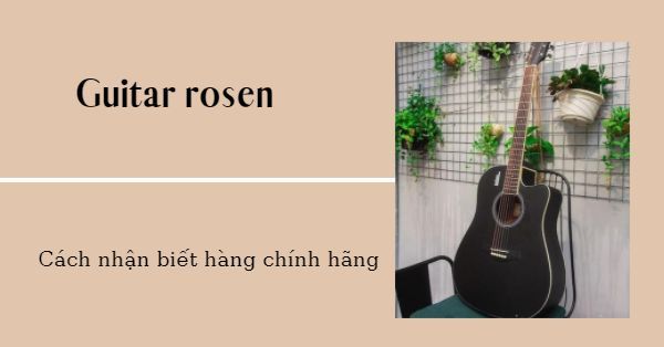 Có nên mua guitar rosen? Cách nhận biết guitar rosen chính hãng