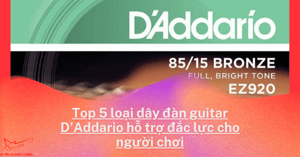 Top 5 loại dây đàn guitar D’Addario hỗ trợ đắc lực cho người chơi