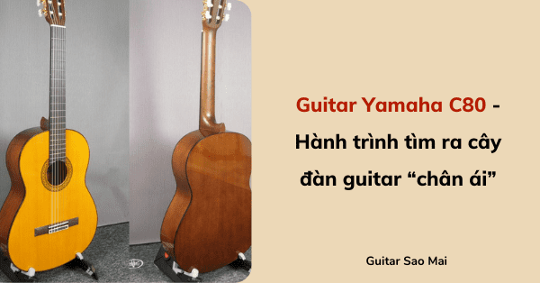 Guitar Yamaha C80 - Hành trình tìm ra cây đàn guitar “chân ái”