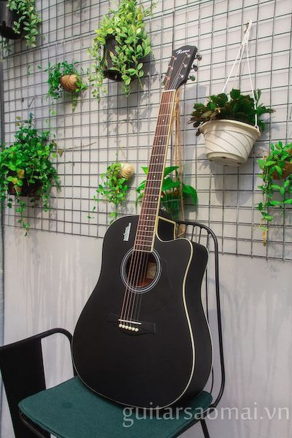 Guitar Rosen G11