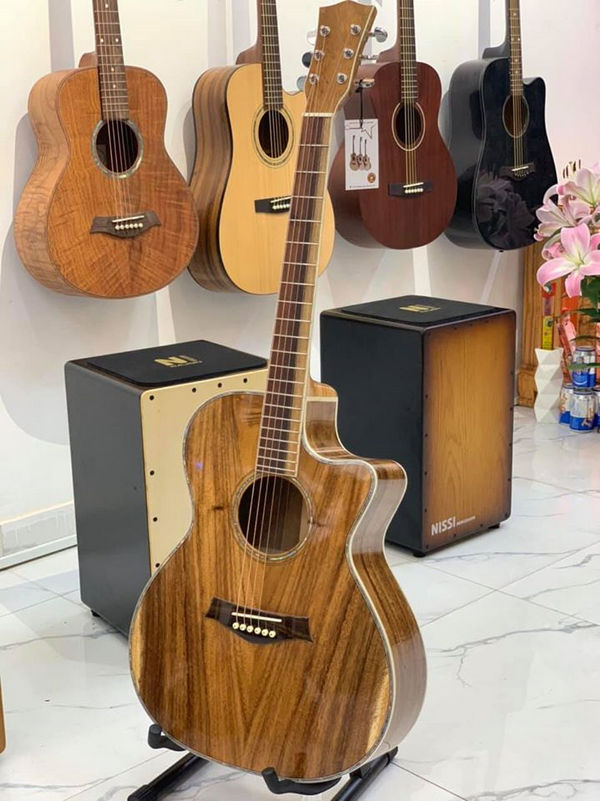 đàn guitar aucostic full điệp việt tại guitar sao mai