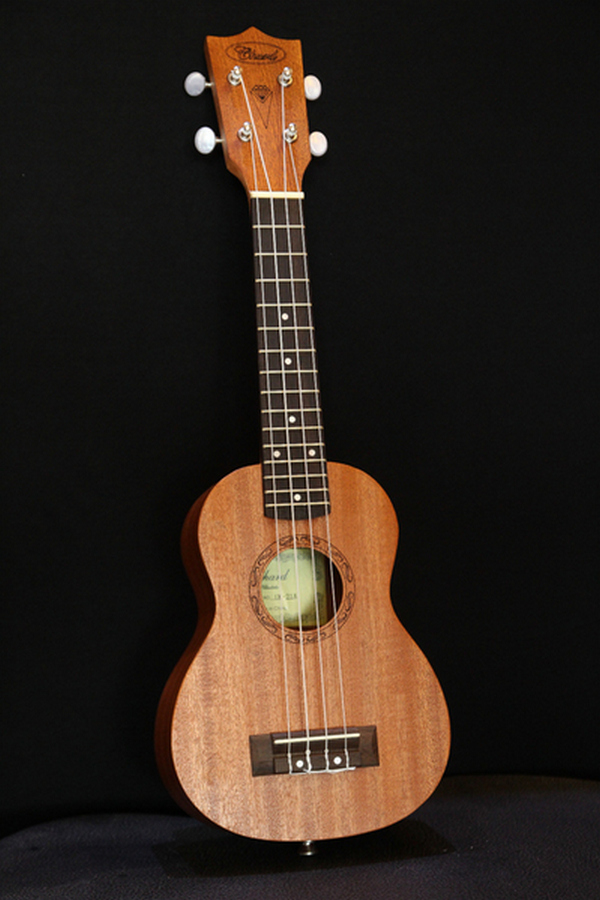 Mẫu đàn Ukulele UK-24A