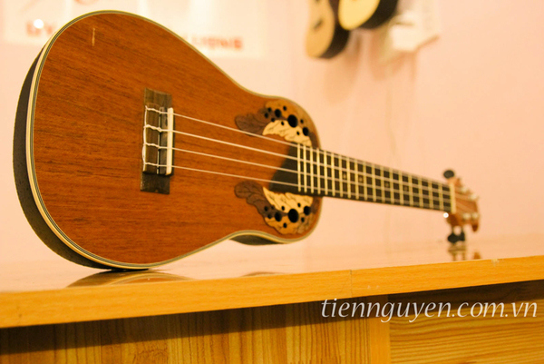 Mẫu Concert Ukulele Ovation K