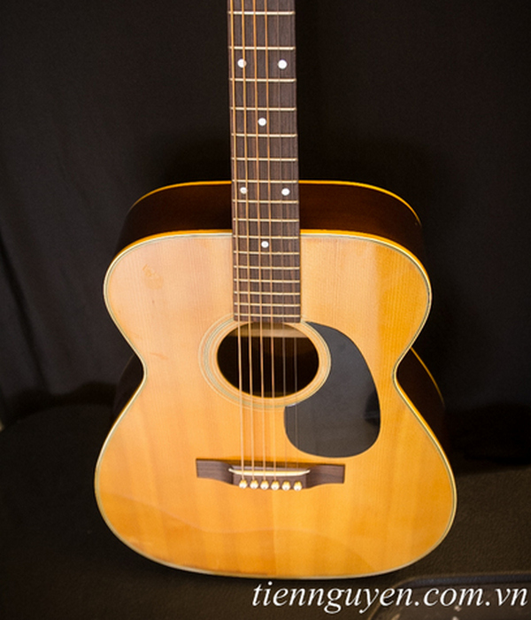 Guitar Pro Martin F-120