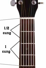 7 nốt nhạc trên đàn guitar