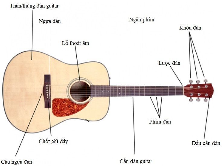 Bật mí kích thước chuẩn đàn guitar có thể bạn chưa biết 1