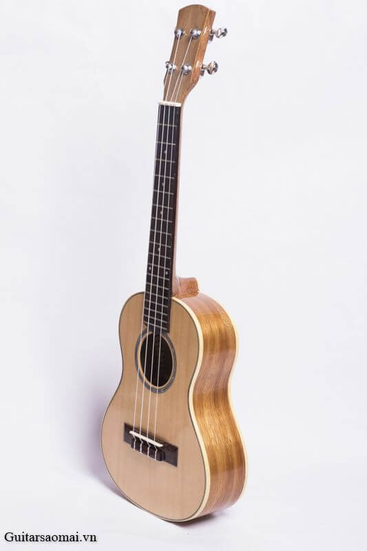 đàn ukulele giá rẻ 3