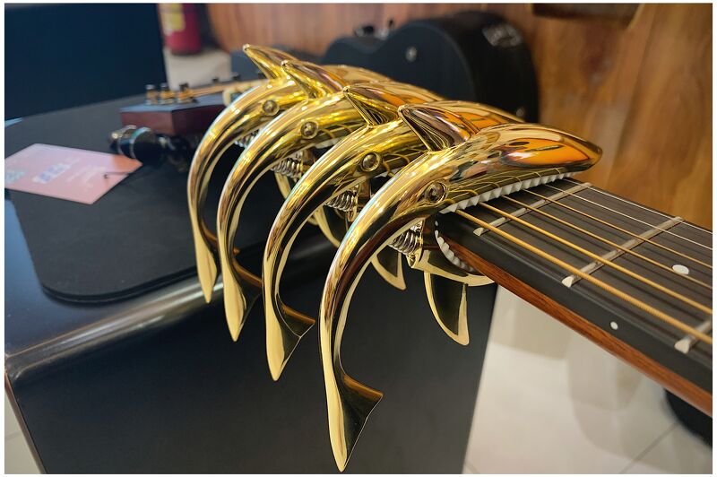 Capo Guitar Cá Mập