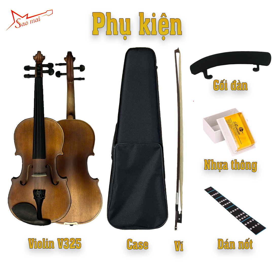 Violin Stasonic V325 01.jpg