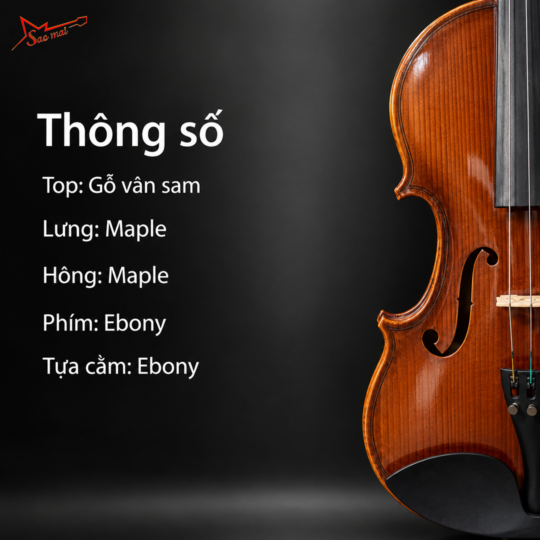 Violin Starsonic V300 02.jpg