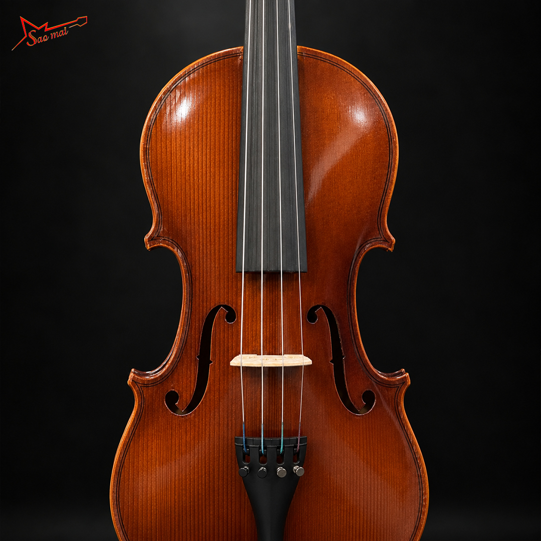 Violin Starsonic V300 08.jpg