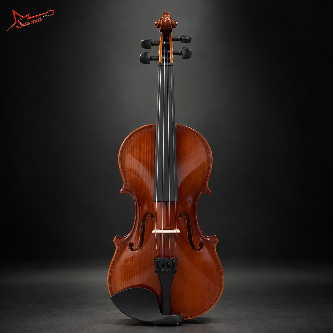 Violin Starsonic V300 03.jpg