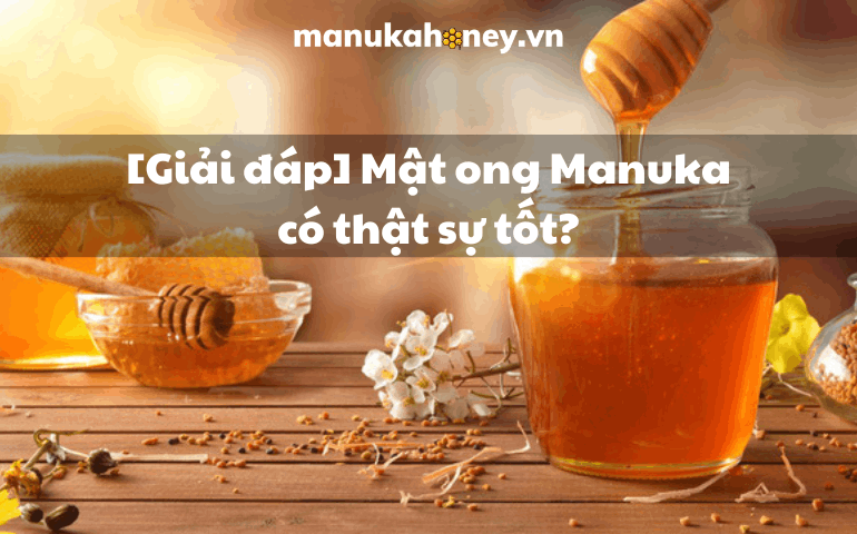 [Giải đáp] Mật ong Manuka có thật sự tốt? 