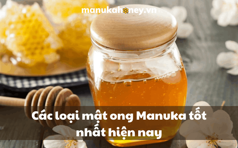 [Bật mí] Các loại mật ong Manuka tốt nhất hiện nay 