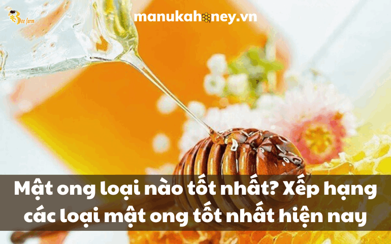 Mật ong loại nào tốt nhất? Xếp hạng các loại mật ong tốt nhất hiện nay 