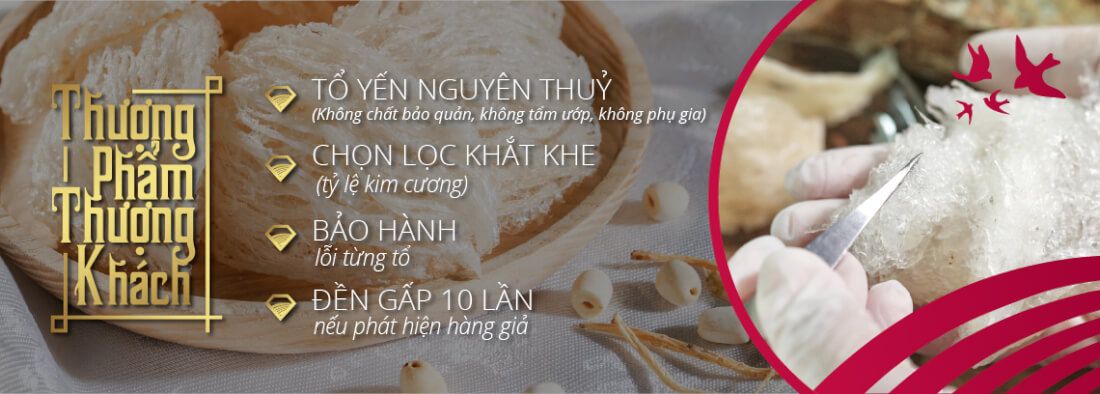 Banner Trang Chủ