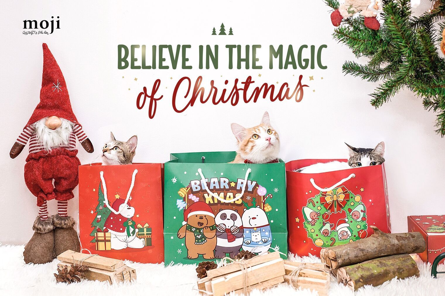 Believe in Magic of Christmas