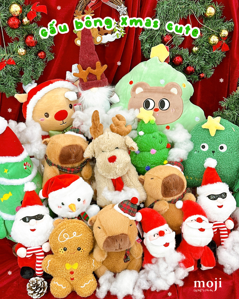 20251209_OU6yyXJP.jpg