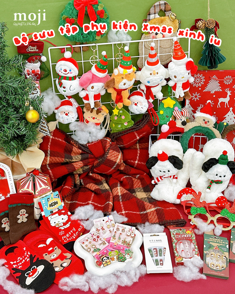 20251209_Z6jg8y27.jpg