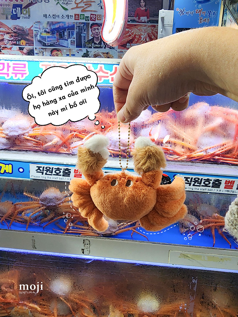 20260414_guBTmEyU.JPG