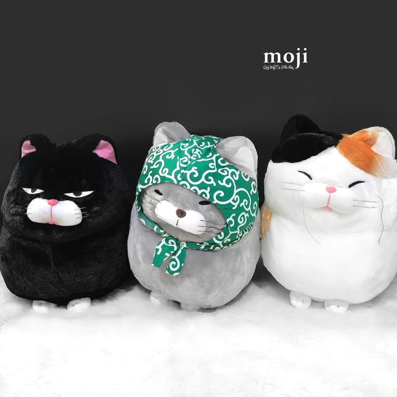 Gấu bông MJ cao cấp mèo may mắn Amuse 40cm