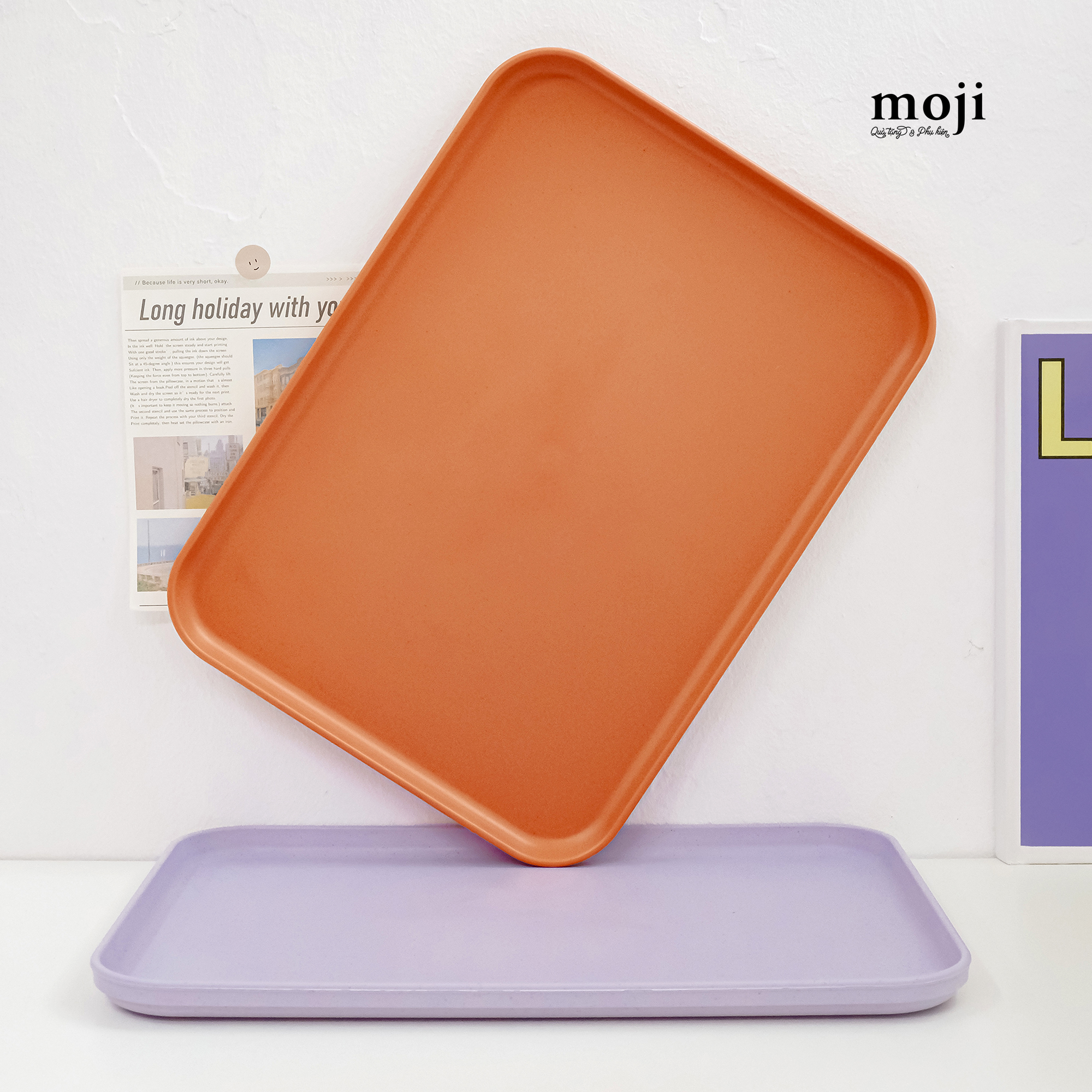 Khay đĩa nhựa 2230-22092212