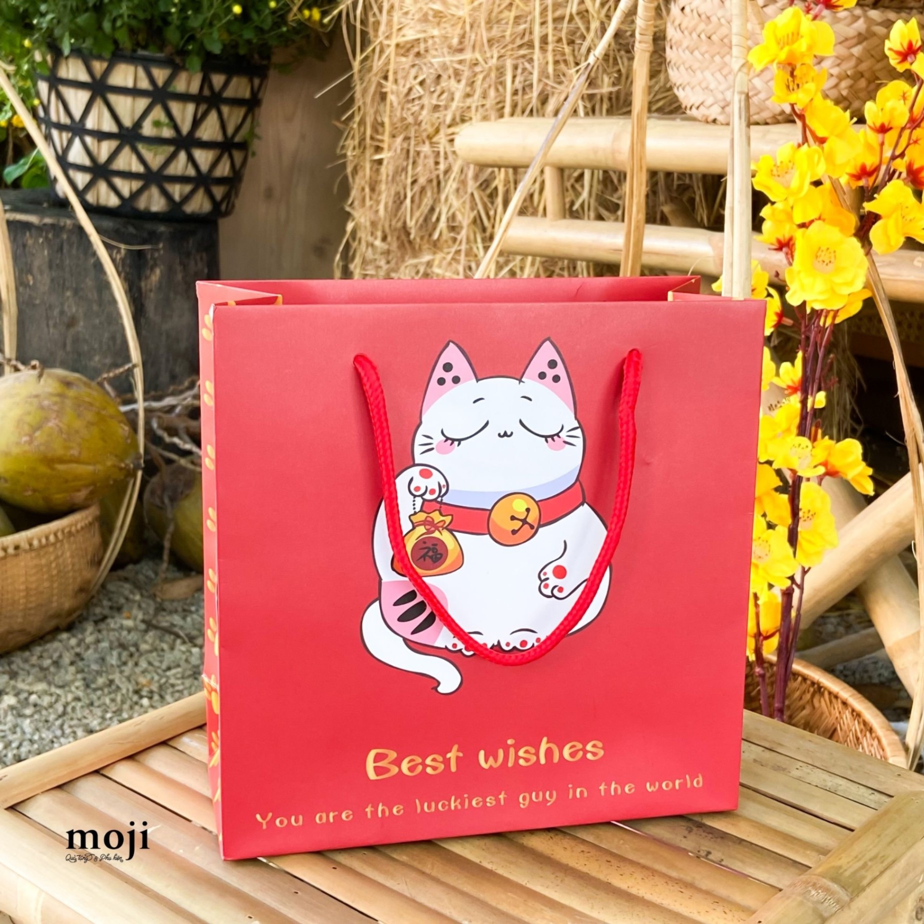 Bao túi quà Mèo may mắn best wishes 8x20x20