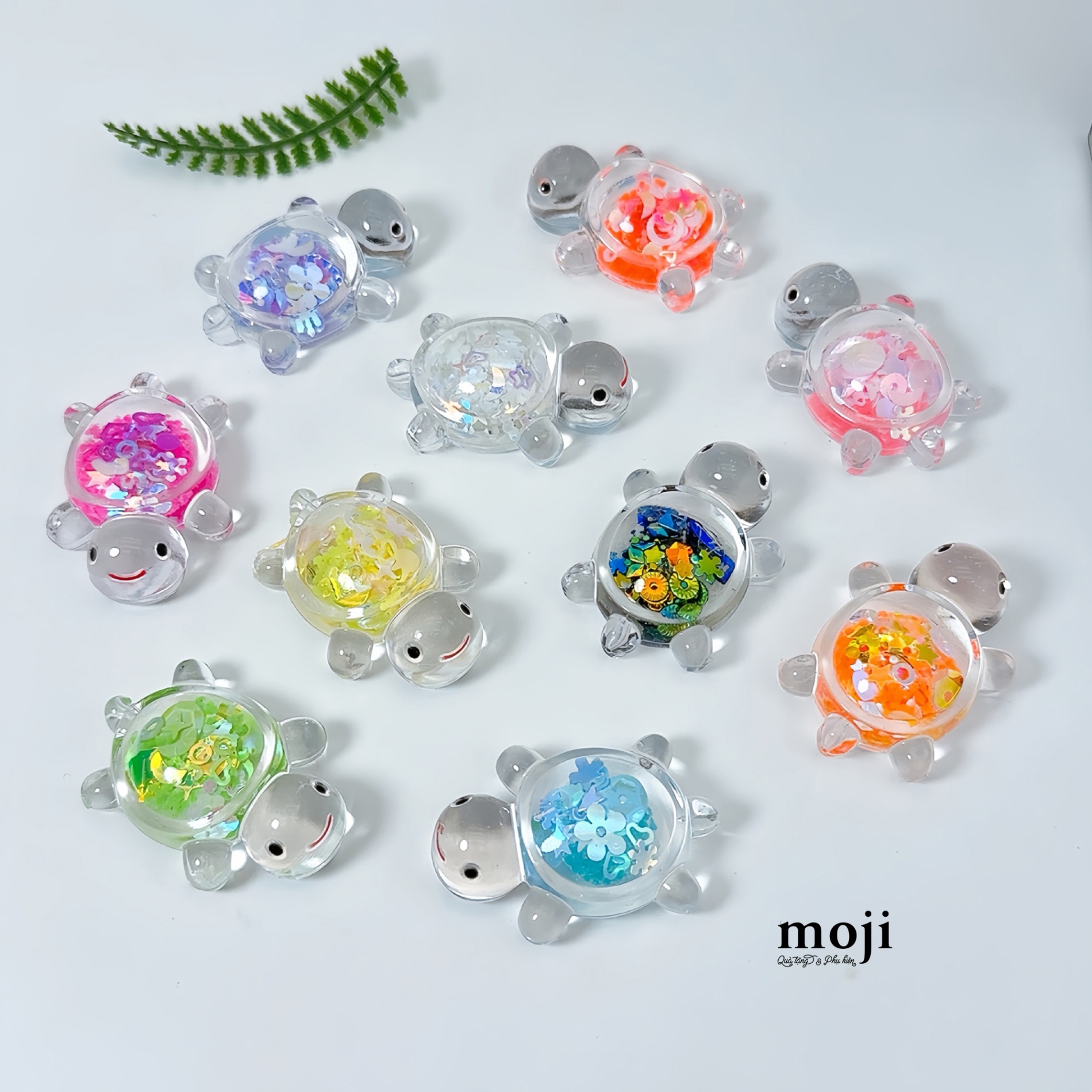 Blindbox túi mù Rùa trong suốt họa tiết màu sắc 3x4