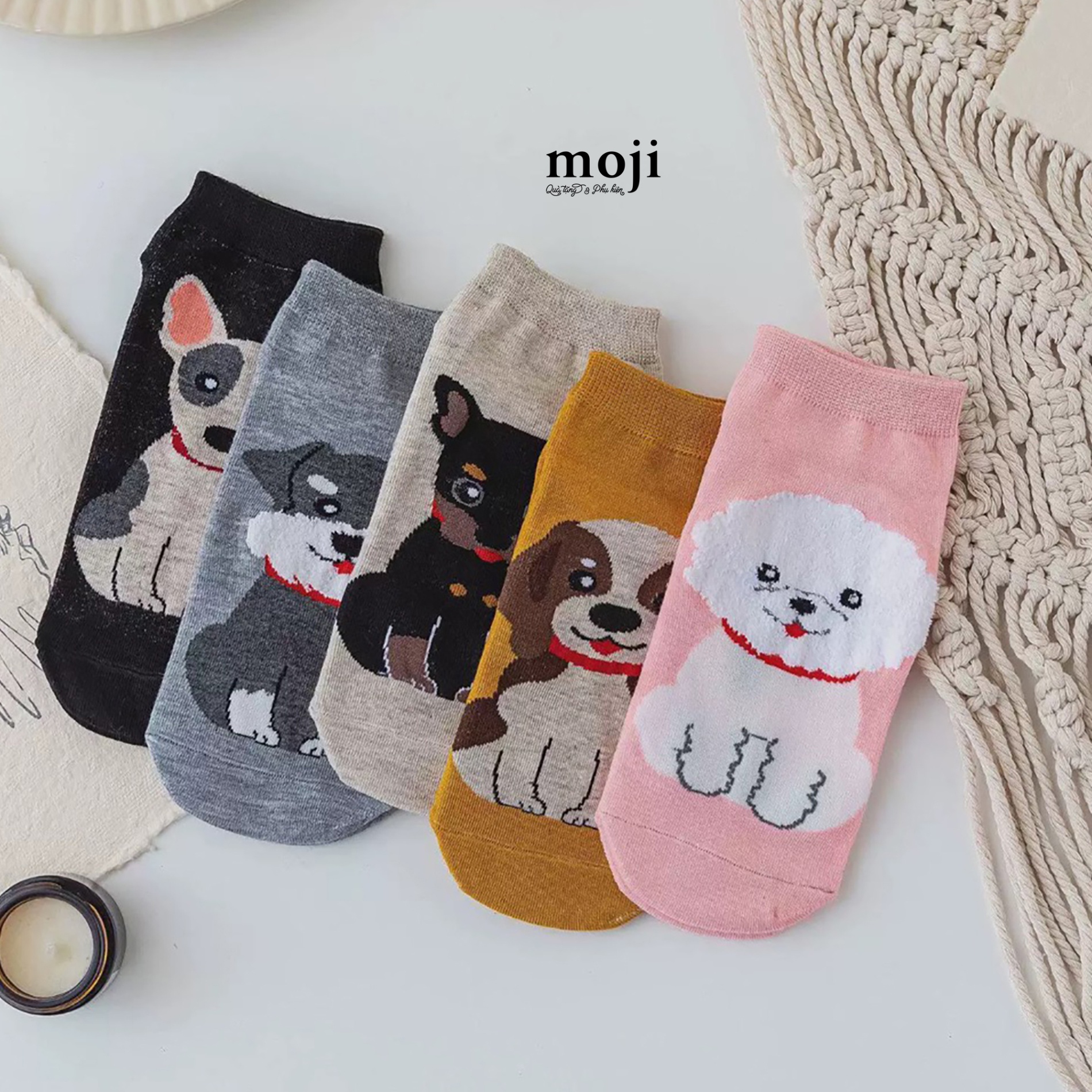 Tất vớ cổ ngắn Colorful dog cún ngồi nền màu