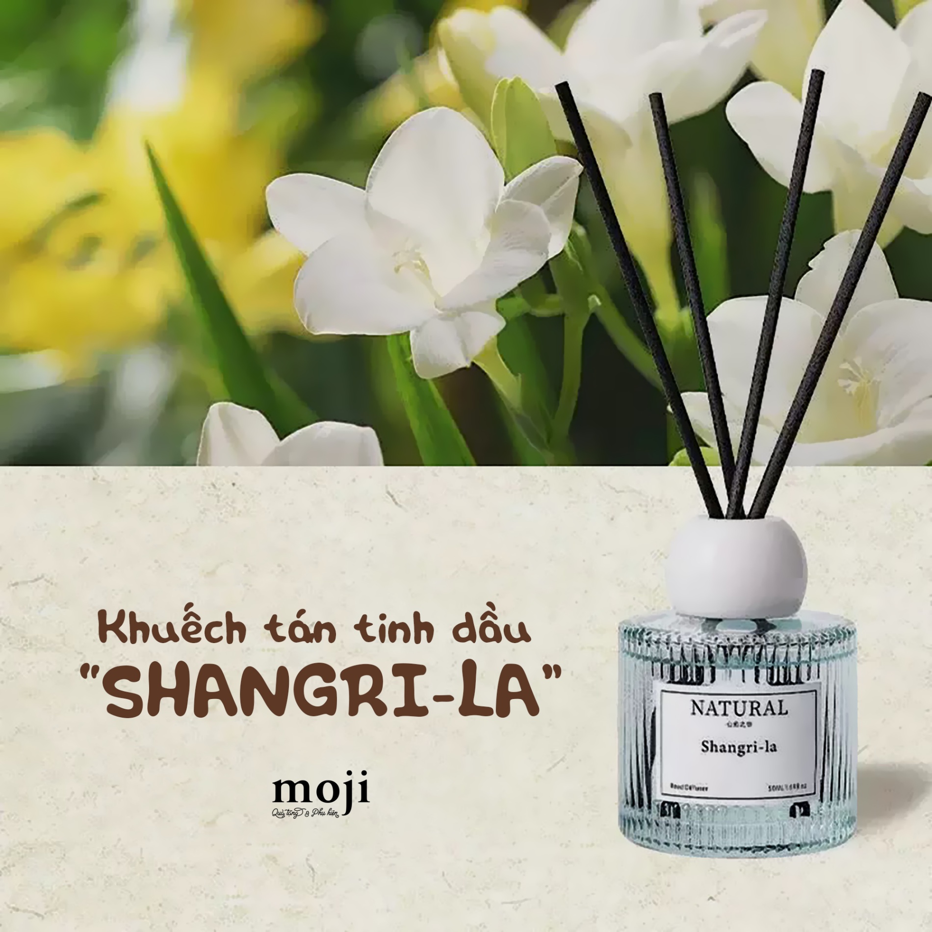 Bộ tinh dầu khuếch tán Natural with shangrila 50ml