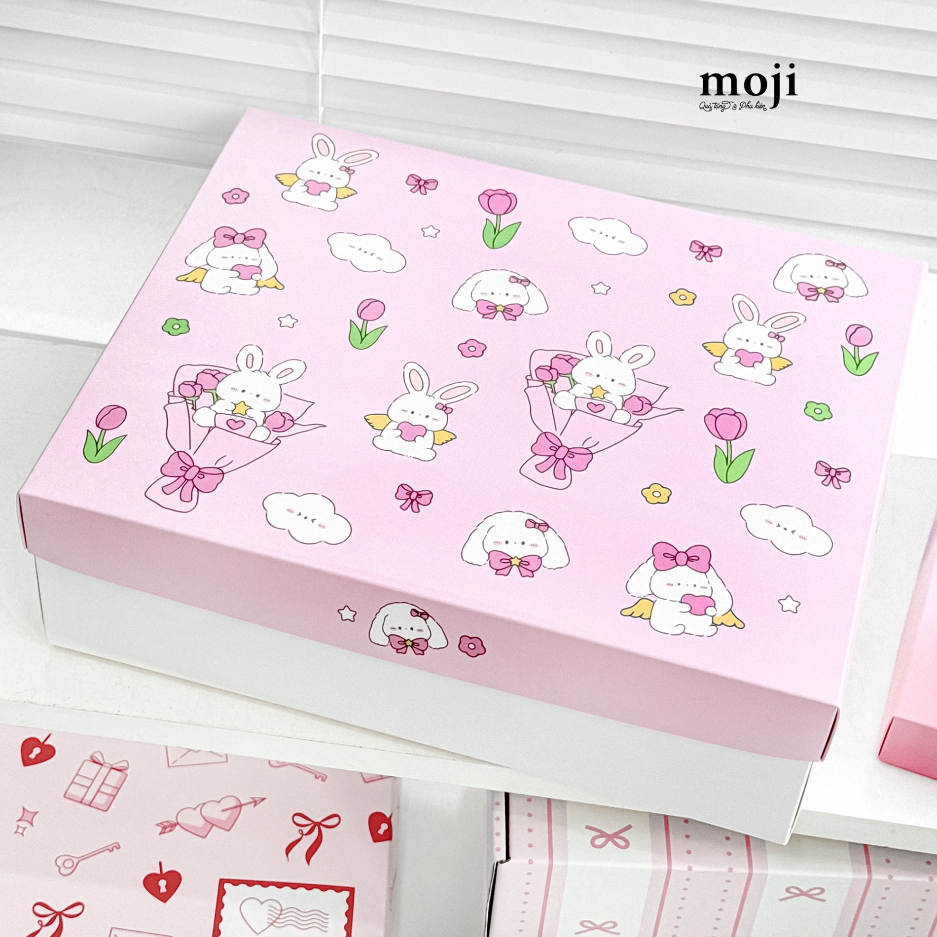 B.047 Hộp quà MZ ANM FLO BWN 92430-25015014