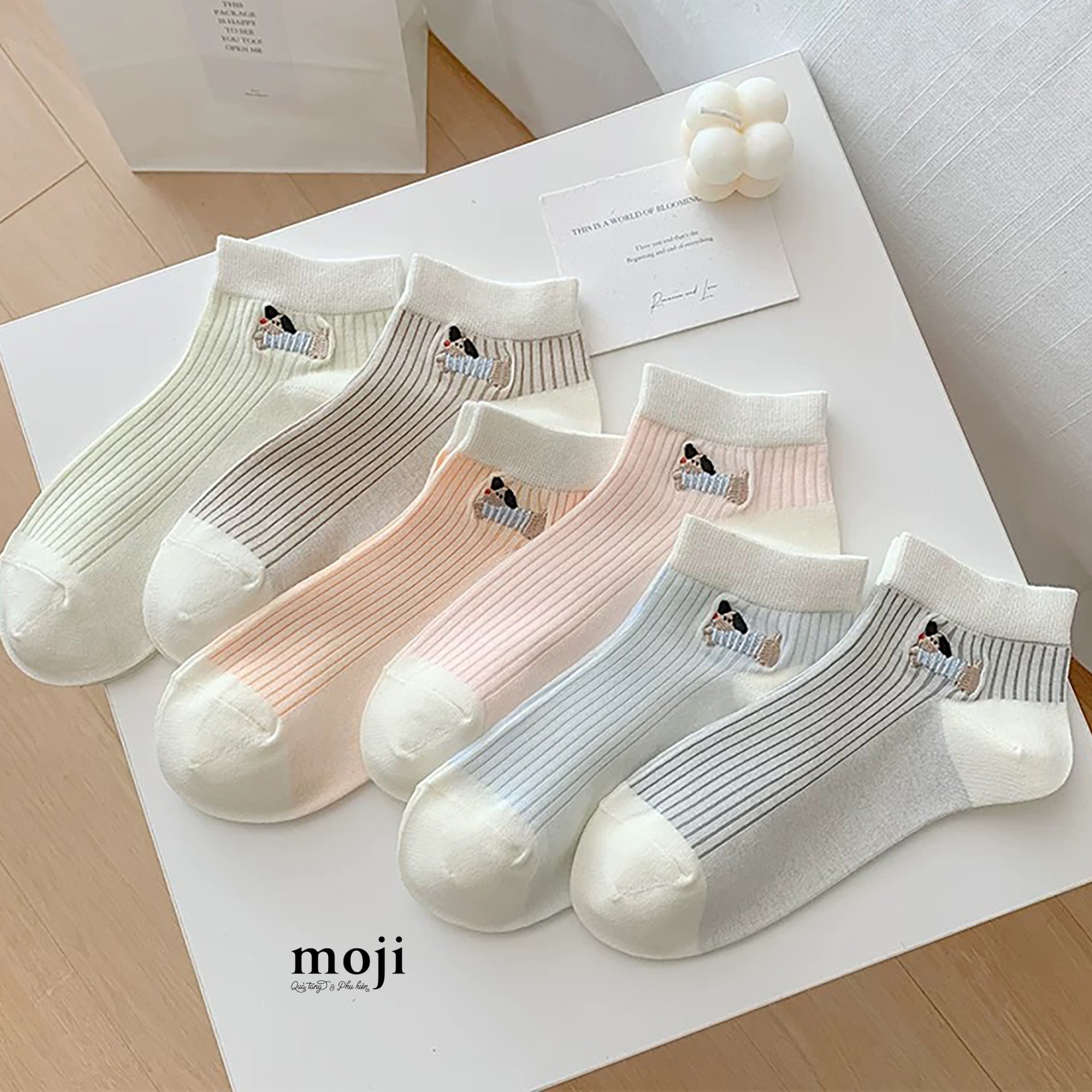 Tất vớ cổ ngắn Dog Dachshund áo kẻ nền màu