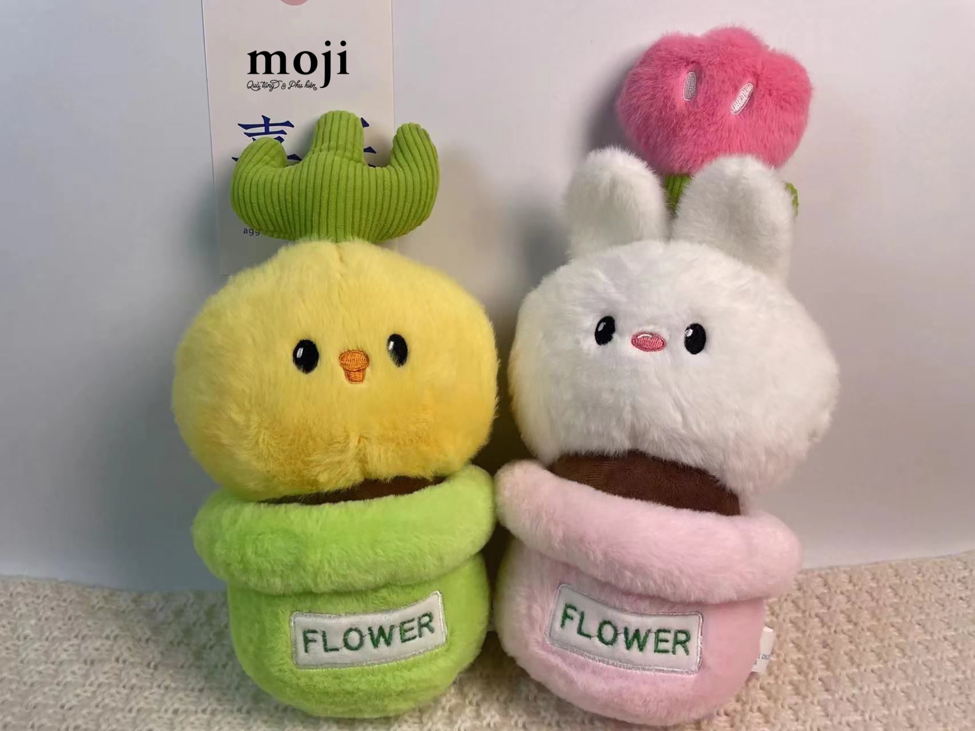 Gấu bông MS Duck rabbit face chậu hoa xương rồng cactus 30cm