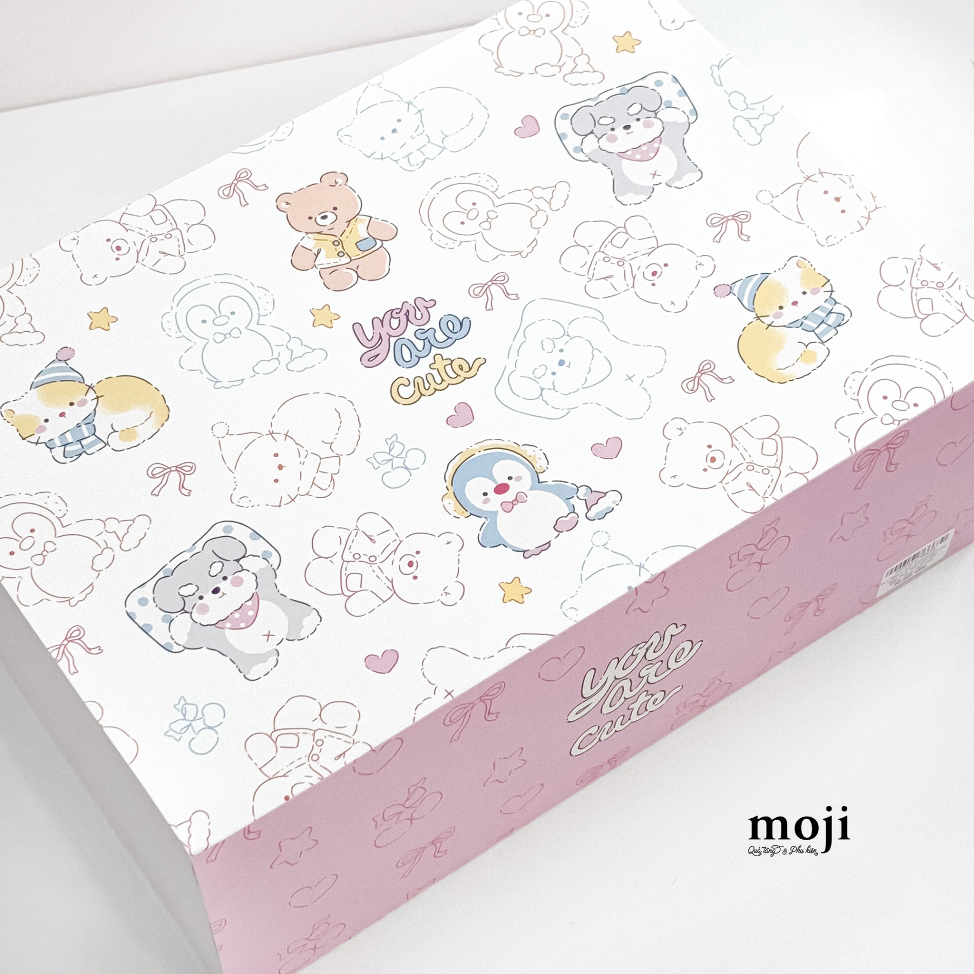 Hộp quà MZ nắp kéo Colorful animal you are cute 12x24x34