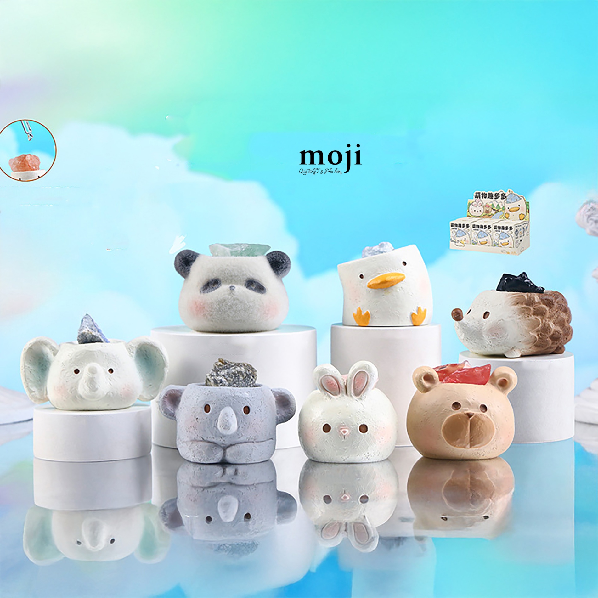 Blindbox hũ đá khuếch tán tinh dầu Cute animal face mắt tròn