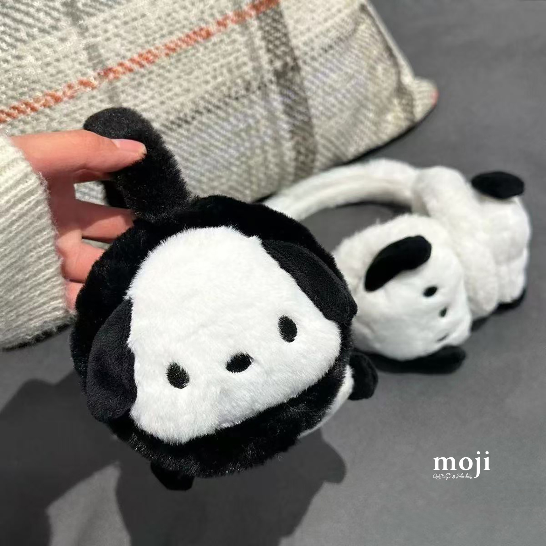 ThumbnailUri