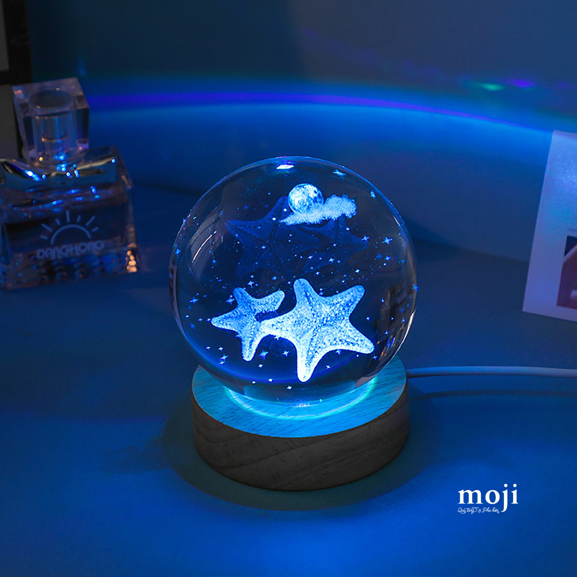 Đèn led trang trí Ocean sao biển dùng điện