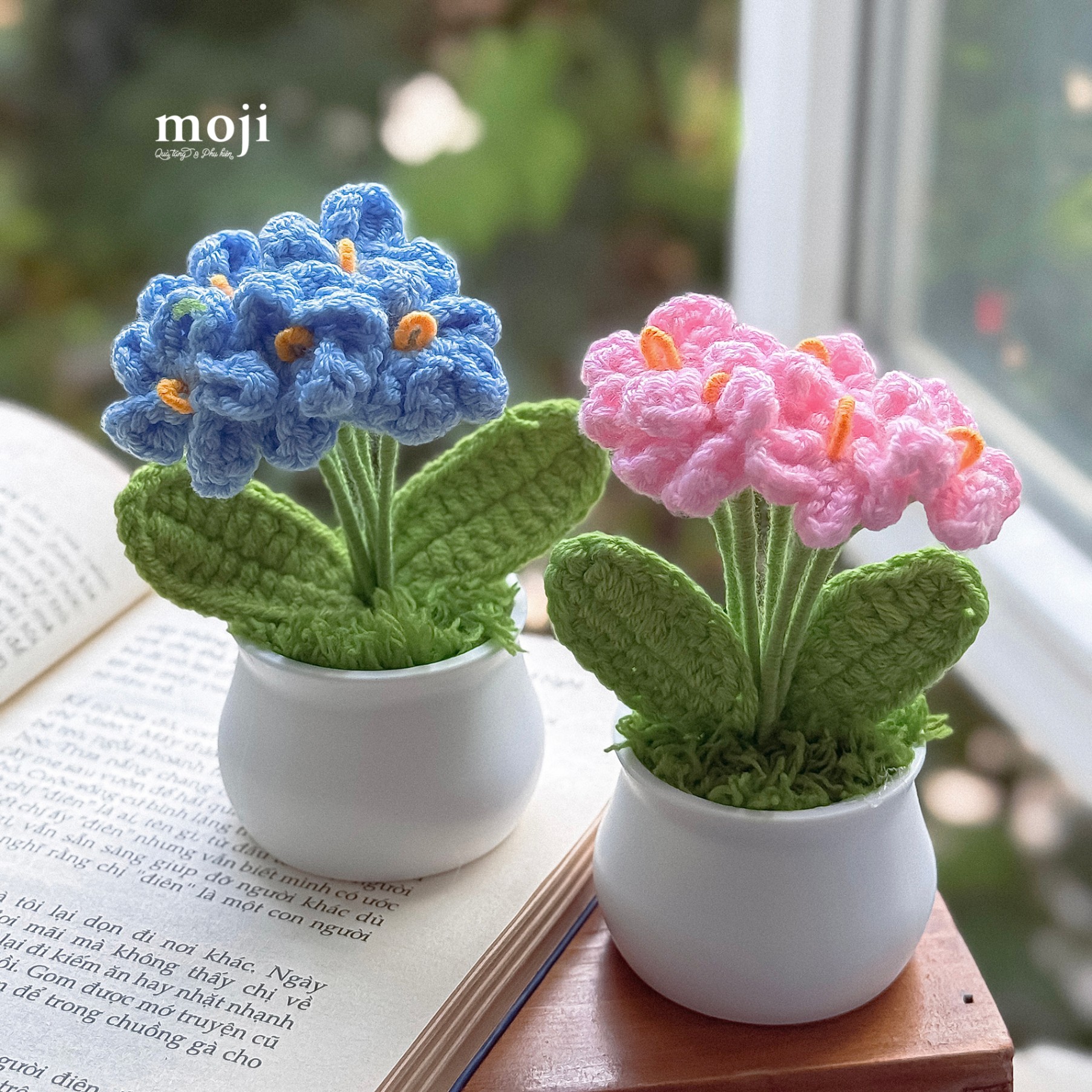 B.310 Hoa 5B 12-25084439