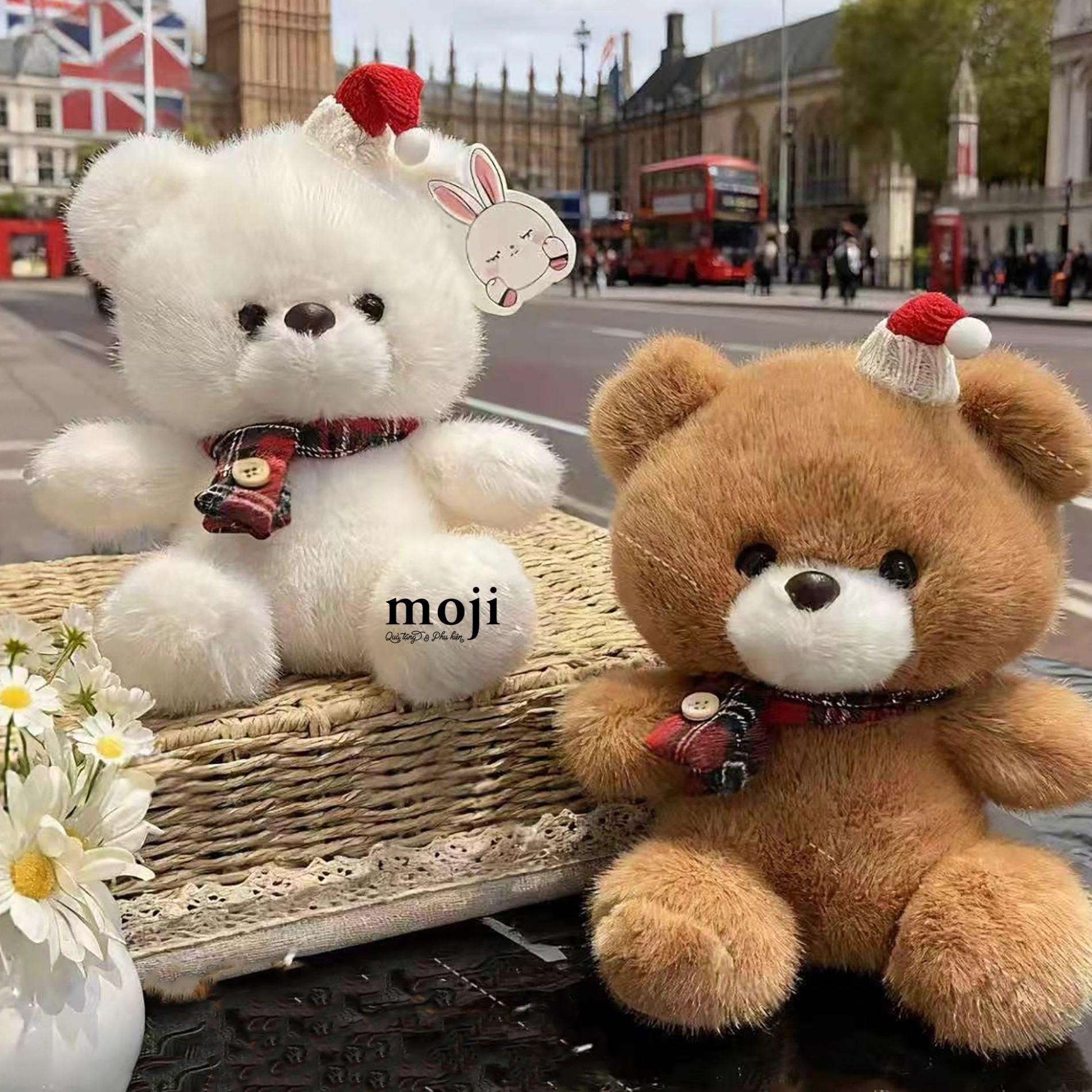 A.750 Gấu bông ANM 22-25120528