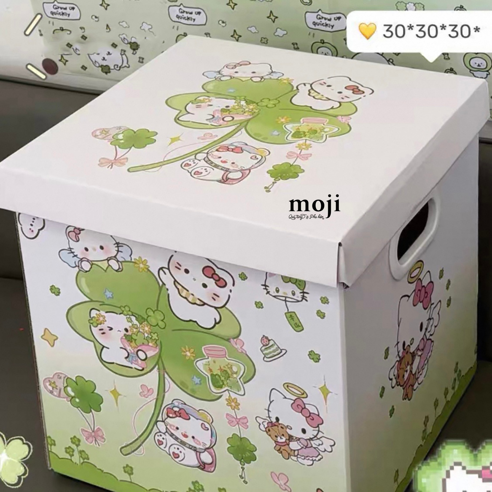 B.041 Hộp quà C4L HLK 303030-25120841